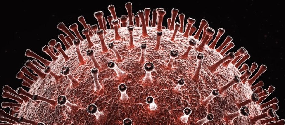 Analisis genom mendedahkan coronavirus mungkin 'chimera' dari dua virus yang berbeza 