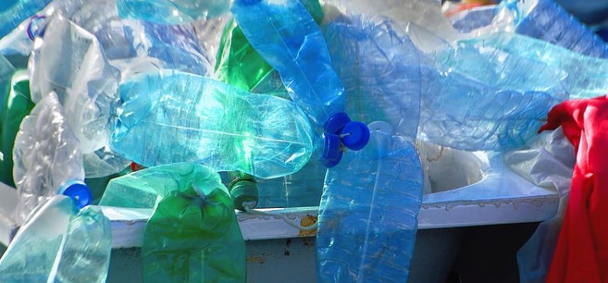 Mutan bakteria dapat memecahkan sisa plastik hanya dalam beberapa jam 