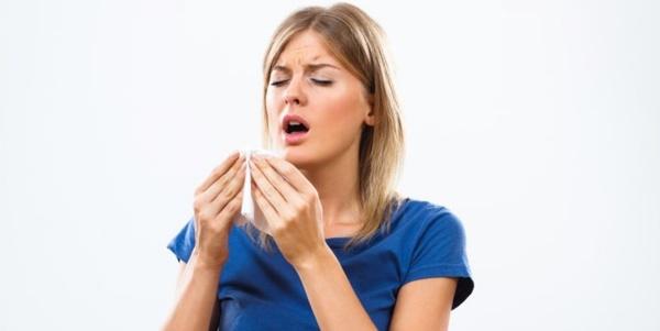 sneezer sabtu 