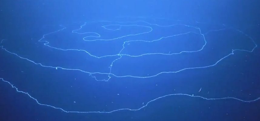 Apakah perkara hipnosis yang panjang ini terapung di lautan? 