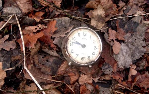 hilang jam tangan di hutan jam tangan hilang