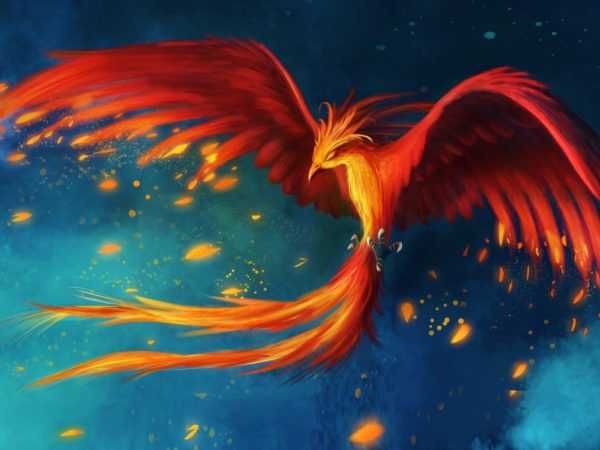 Phoenix - burung 