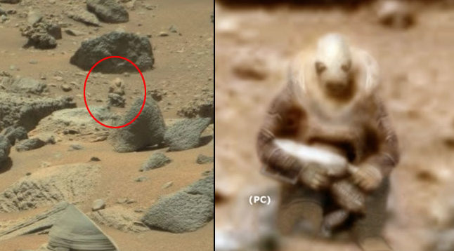 Foto seorang askar Martian mencetuskan kontroversi di media sosial 