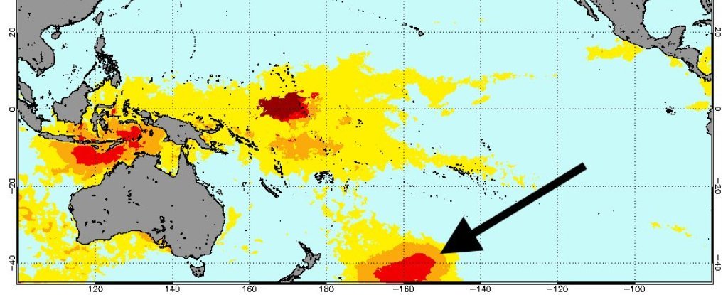 'Gelembung panas' di Lautan Pasifik membunuh sejuta burung laut dalam satu tahun 
