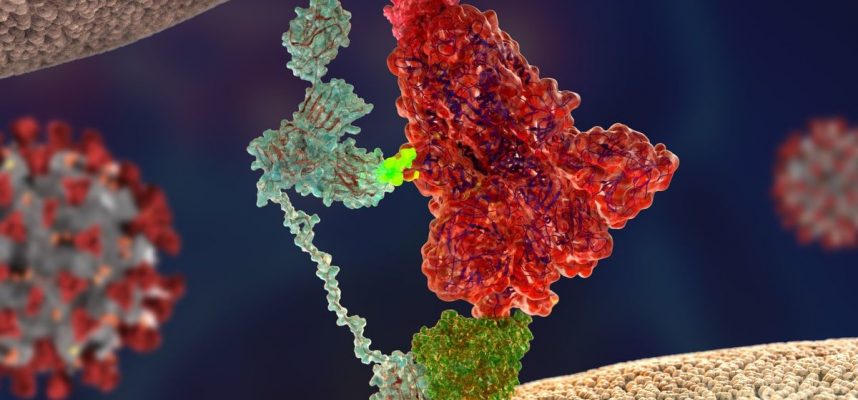 Para penyelidik telah mengetahui apa yang menjadikan coronavirus begitu menular 