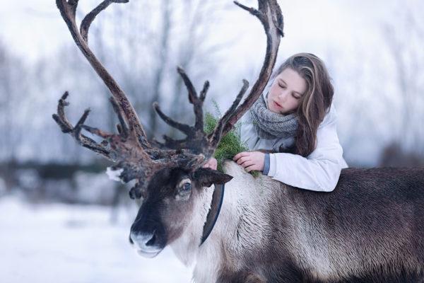 Mengapa rusa bermimpi 