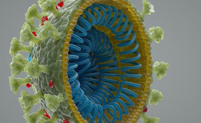 Coronavirus tidak dibuat di makmal.  Inilah yang dikatakan oleh para saintis 