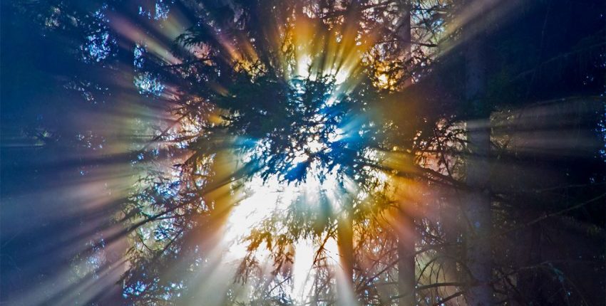 Sinaran kosmik dapat menyokong kehidupan di planet lain 