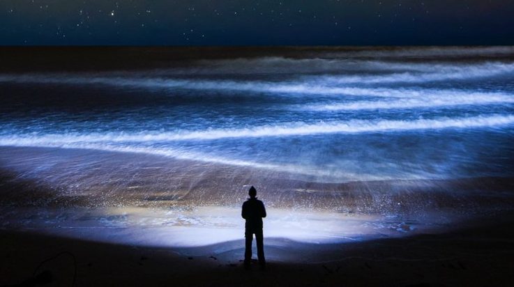 Penghijrahan terbesar di planet ini berlaku setiap hari, dan kita tidak menyedarinya 