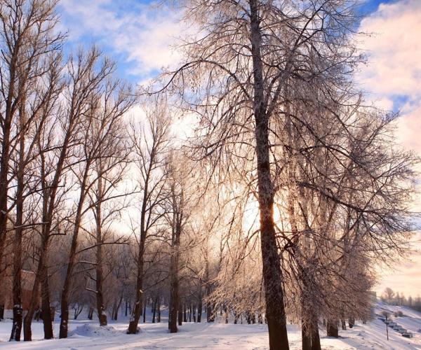 Perayaan dan adat rakyat pada 2 Disember (Hari nabi Obadiah)
