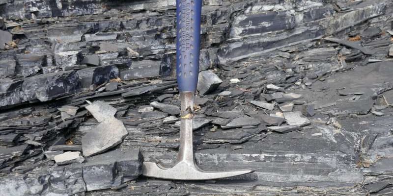 Kekurangan oksigen di lautan telah menyebabkan kepupusan hidupan bumi di Bumi pada masa lalu 