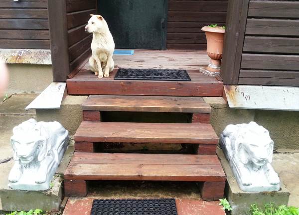 mengapa tidak melalui ambang 