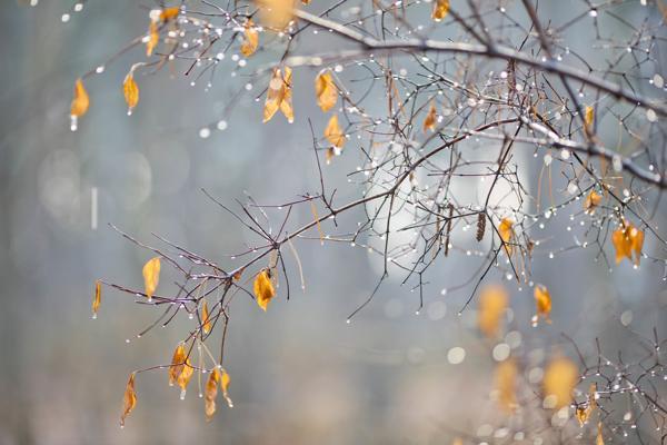 November 