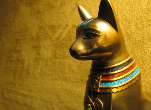 Simbol kucing 