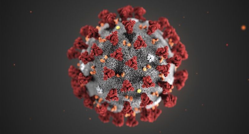 Para saintis memberi amaran: Koronavirus Cina akan segera dinyatakan sebagai wabak 