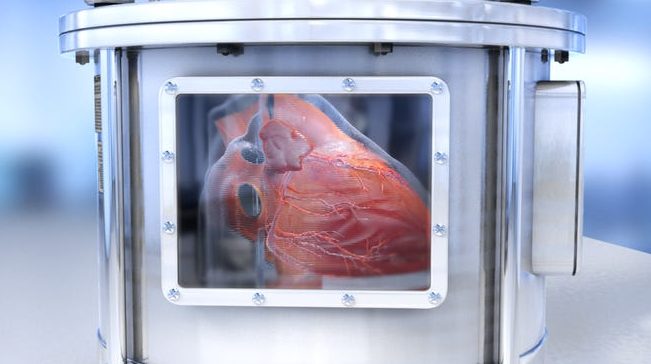 Para saintis telah mencipta mikrokopi organ manusia yang berfungsi 