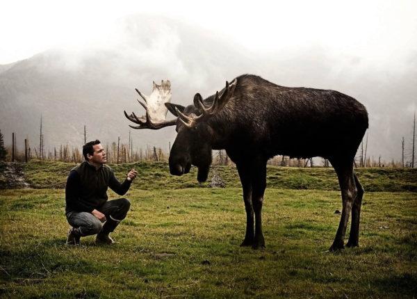 Mengapa rusa bermimpi 