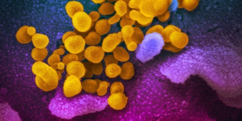 WHO: Sekurang-kurangnya 70 pilihan vaksin coronavirus sedang dikembangkan 